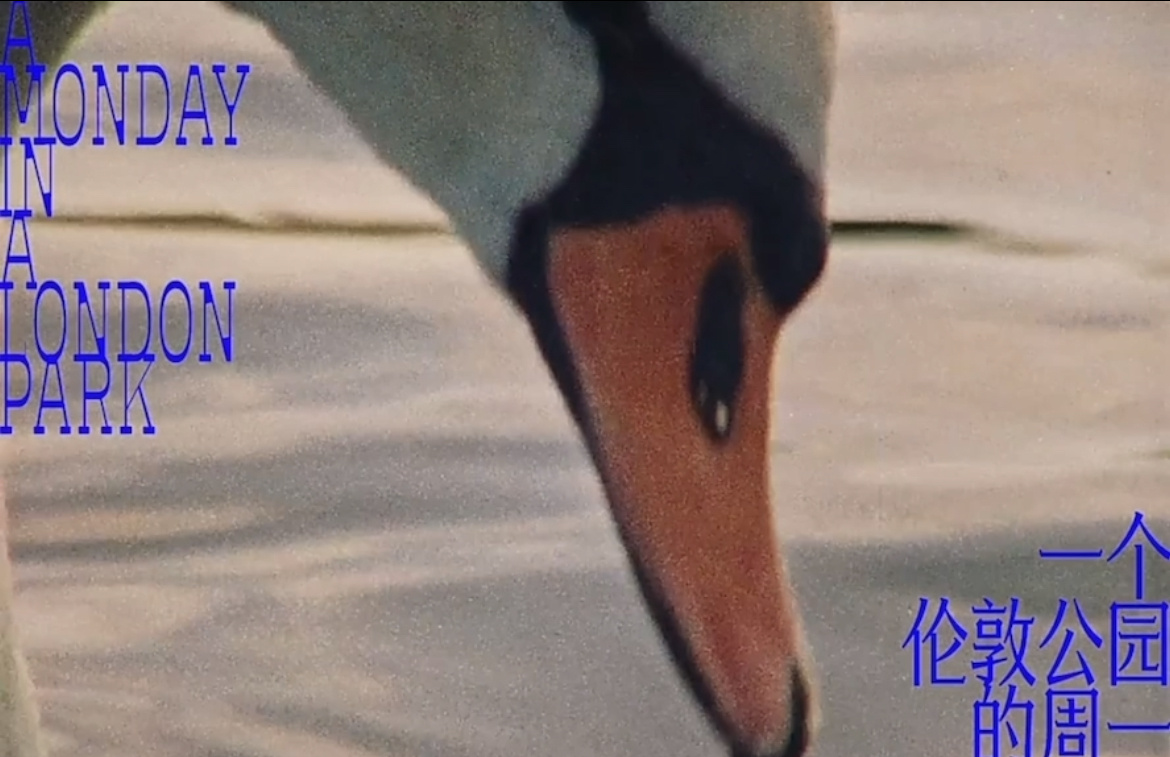 A Monday In A London Park