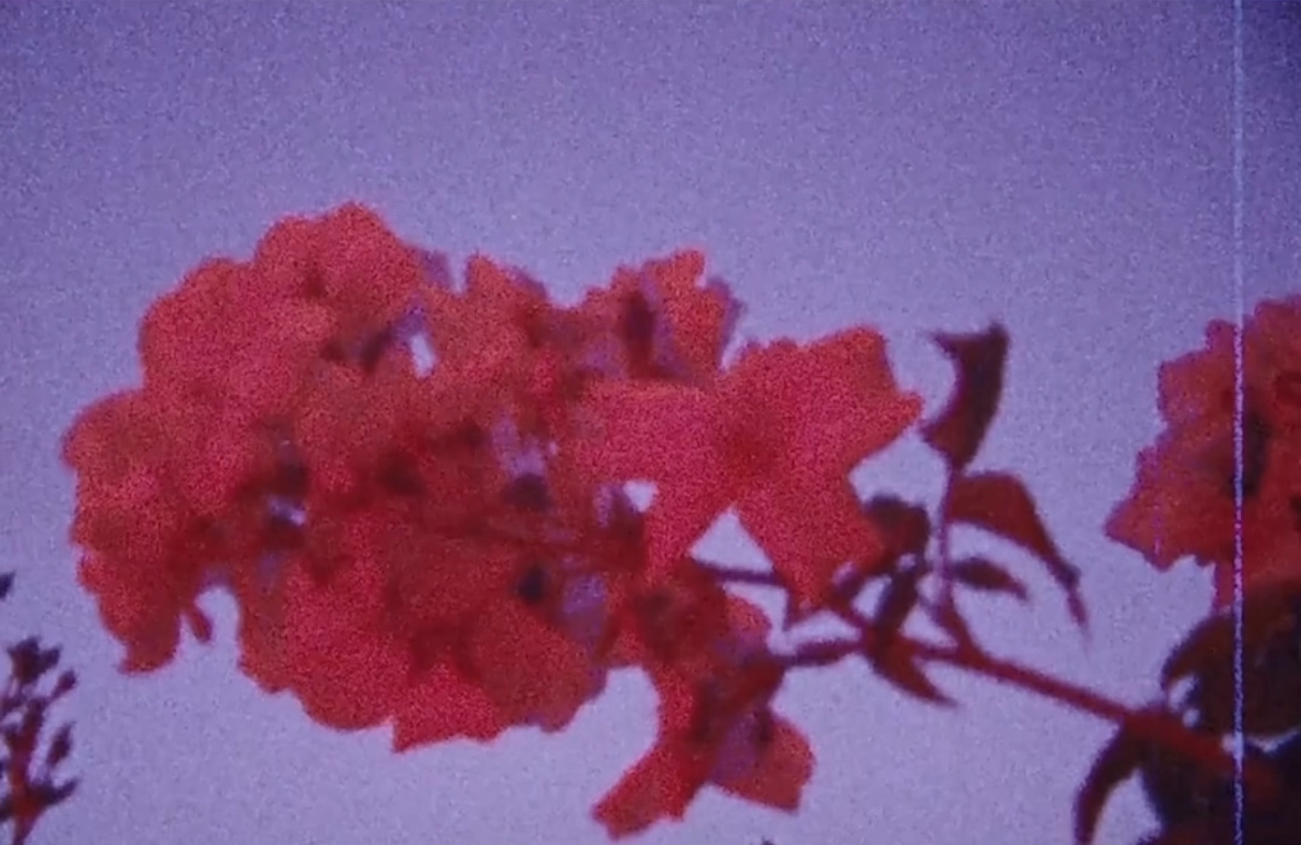 A Monday In A London Park