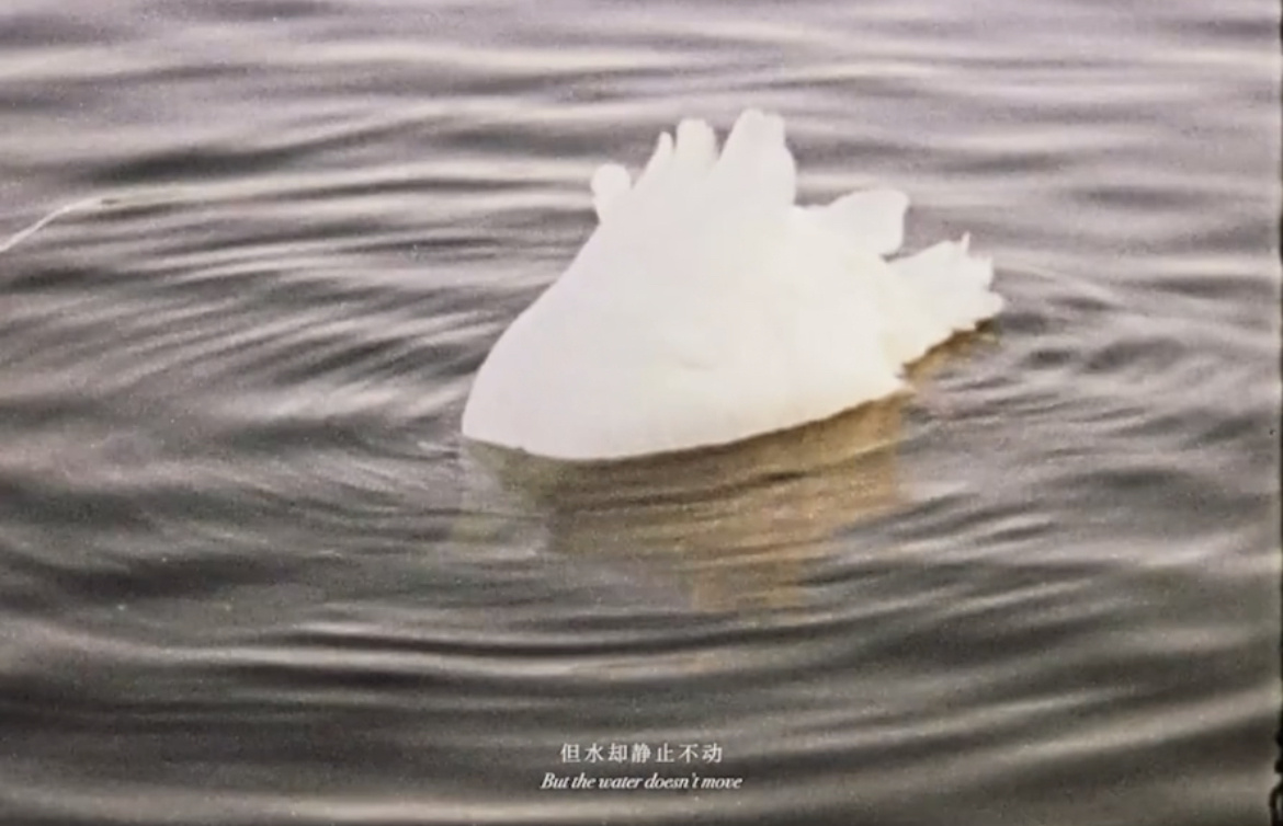 A Monday In A London Park